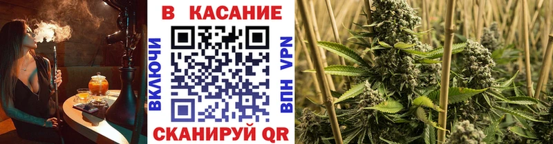 Все наркотики Рыбное A-PVP  Мефедрон  Гашиш  Псилоцибиновые грибы  Конопля 