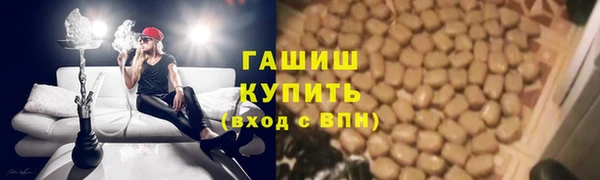 прущие грибы Аркадак