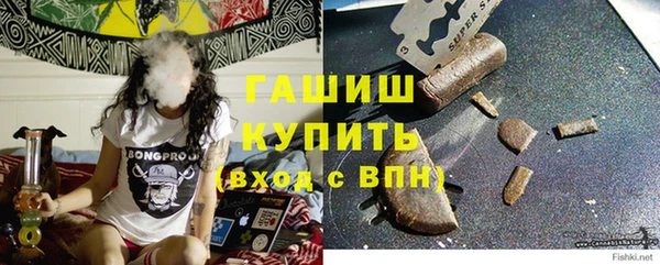 прущие грибы Аркадак