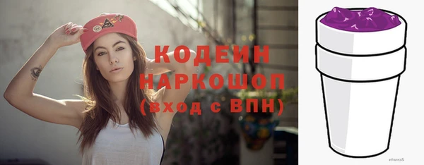 прущие грибы Аркадак