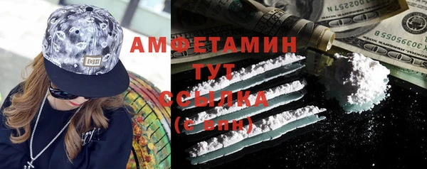 прущие грибы Аркадак