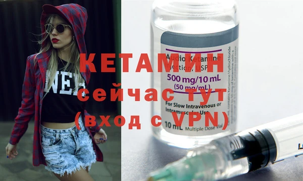 дживик Арсеньев
