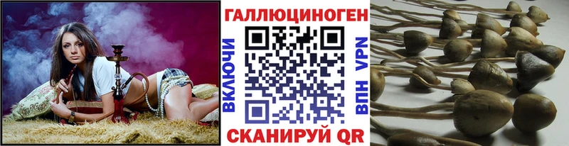 это какой сайт  OMG онион  Рыбное  дарнет шоп  Псилоцибиновые грибы GOLDEN TEACHER 